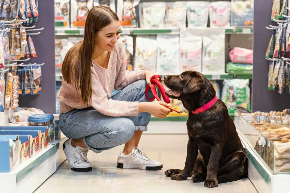 Buying a Dog? What No One Tells First-Time Owners
